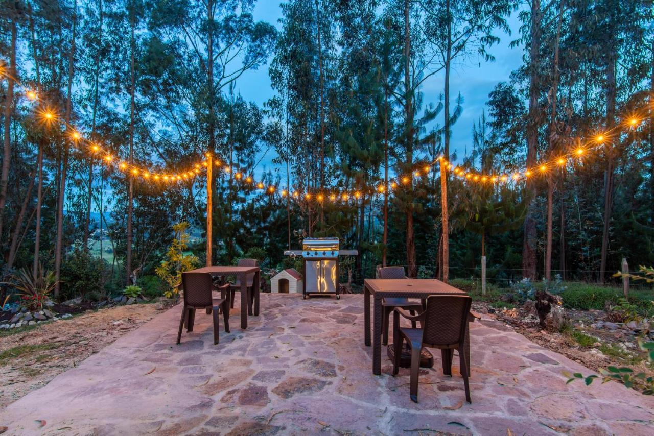Terra Luna Glamping 파이파 외부 사진